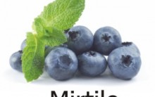 Fruta Mirtilo – Quais Seus Benefícios, Para que Serve Qual o Preço e Onde Comprar