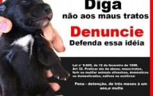 Maus Tratos a Animais – Como Fazer a Denúncia Online