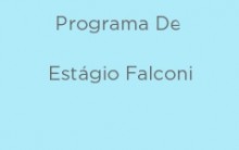 Programa de Estágio Falconi 2024 – Inscrições e Processo Seletivo