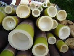 Benefícios-do-broto-de-bambu