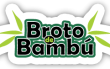 Broto de Bambu – Para que Serve e Quais os Benefícios Que Traz a Saúde