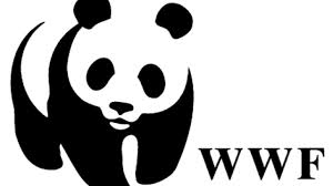 Bolsas de Estudos na WWF Para 2022 – Como Fazer as Inscrições Para Processo Seletivo