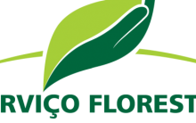 Concurso Público Serviço Florestal Brasileiro 2024 – Fazer as Inscrições