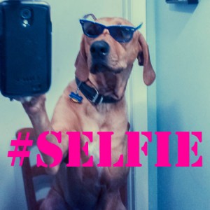 Como Fazer Foto Selfie  Para Instagram 
