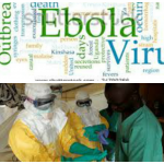Virus Ebola - O que? Sintomas, Tratamento, Vacina e Porque Pode Matar Fotor0804112141