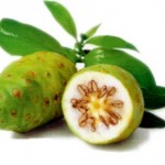 Noni Fruta Exótica Que Ajuda a Perder Peso – Quais os Benefícios noni