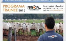 Programa de Trainee Empresa Macal 2024 – Fazer as Inscrições