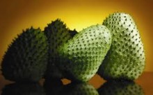 Graviola na Prevenção ao Câncer – Quais os Benefícios da Fruta