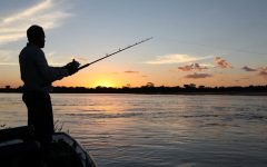 Licença de Pesca Amadora – Como Fazer a Sua Solicitação