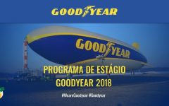 Programa de Estágio Goodyear 2024 – Como Se Inscrever e Benefícios